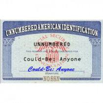 Identification Cards