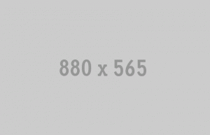 880x565