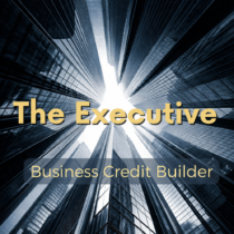 The 90 Day Business Credit Accelerator - For Entrepreneurs Ready to Position Their Business for Real Funding